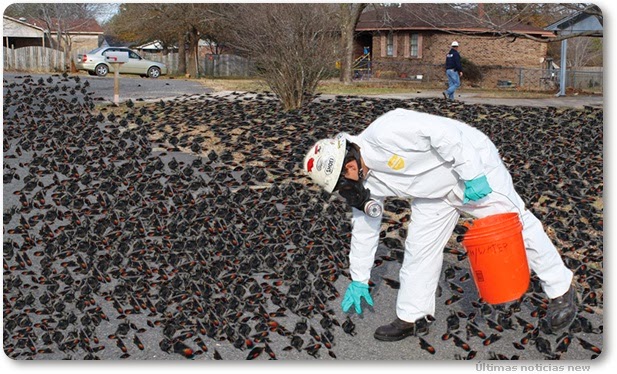 Italy and the Wuhan Virus…The Real Story from an Italian plus MORE Radiation-blackbirds